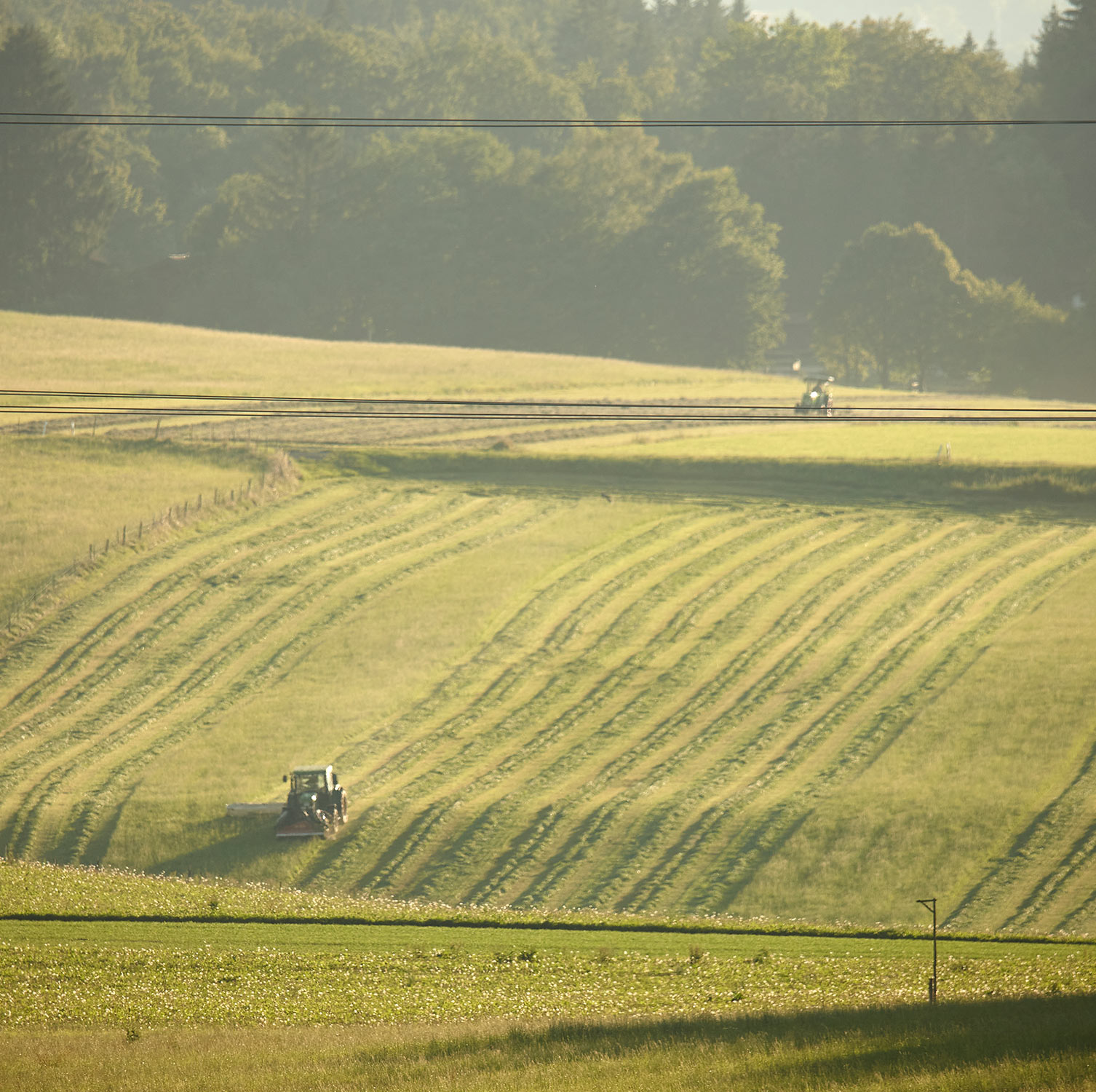 landwirtschaftsstrom-stromtarif-uezw-energie-1506x1500